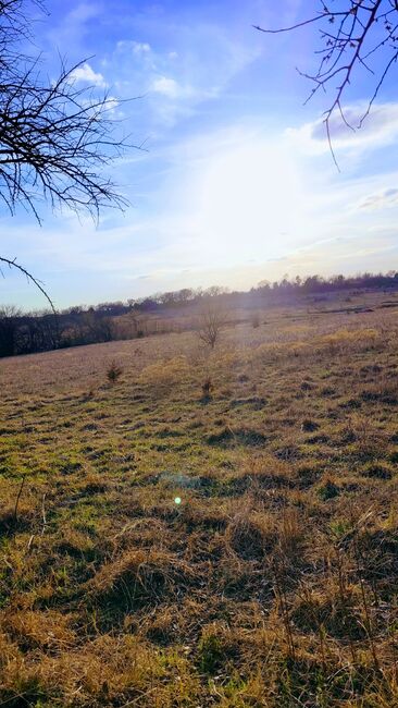 Image for the poem Prairie Paradise 