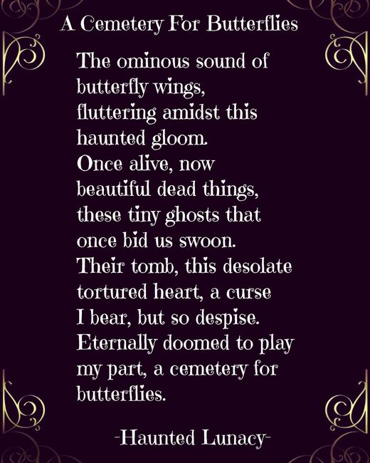 Visual Poem A Cemetery For Butterflies