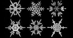 Image for the poem Snowflakes