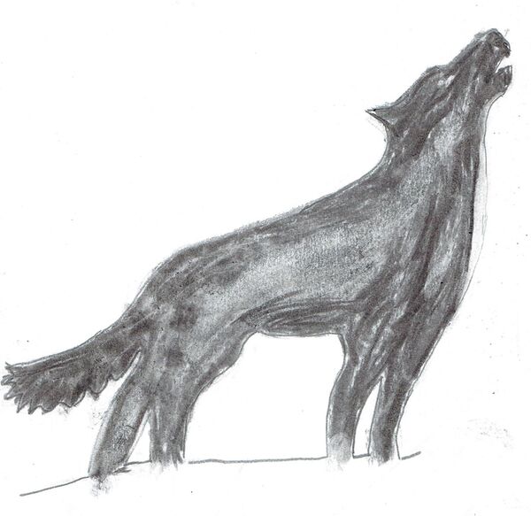 Image for the poem Wolf