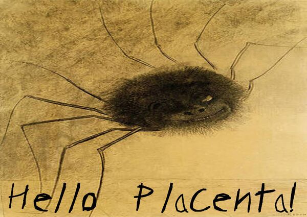 Image for the poem "Hello, Placenta!" 