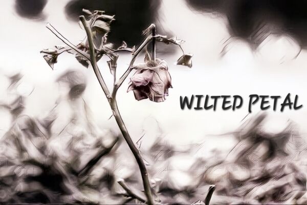 Image for the poem WILTED PETAL