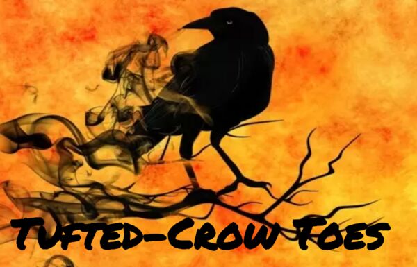 Image for the poem Tufted-Crow Toes