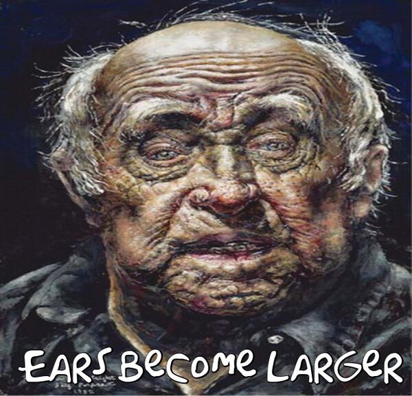 Image for the poem Ears Become Larger