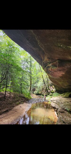 Image for the poem Payne Creek