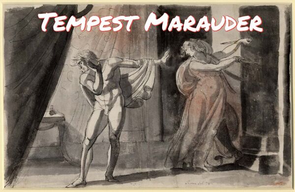 Image for the poem Tempest Marauder