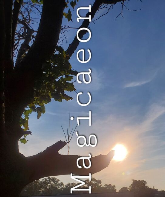 Image for the poem So that I Might See