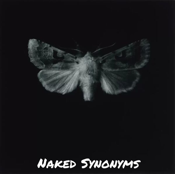 Image for the poem Naked Synonyms