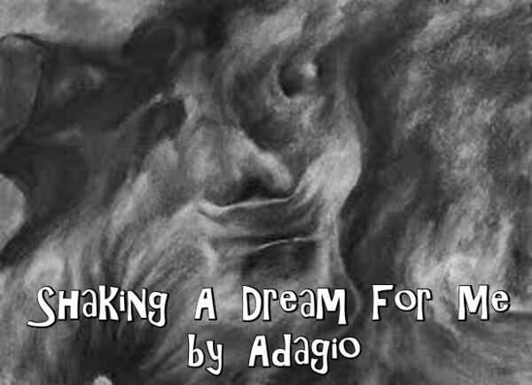 Image for the poem Shaking A Dream For Me