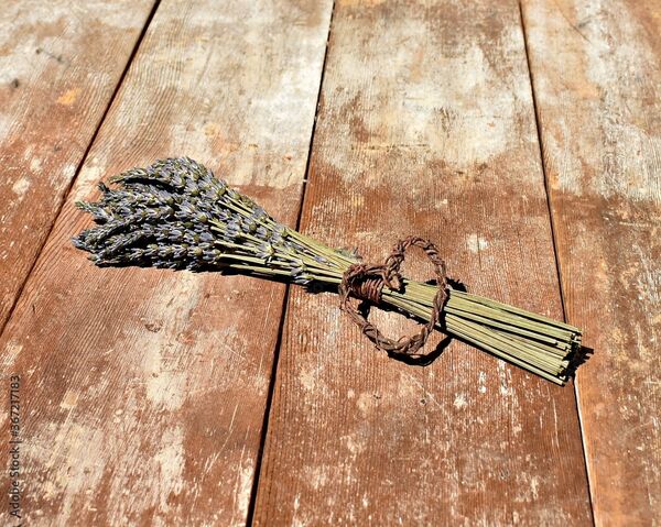 Image for the poem Lavender Bouquet