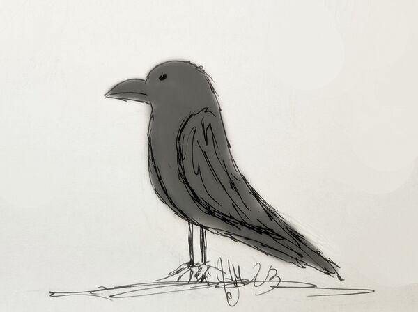 Image for the poem Offering to a Raven