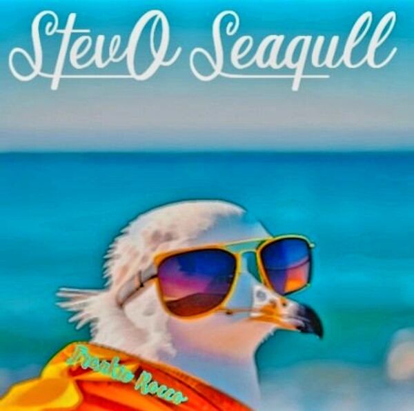 Image for the poem StevO Thee Seagull Pt. II