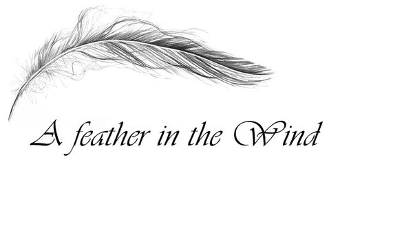 Image for the poem Quill In The Wind