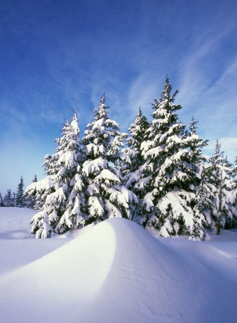 Image for the poem Winter Of