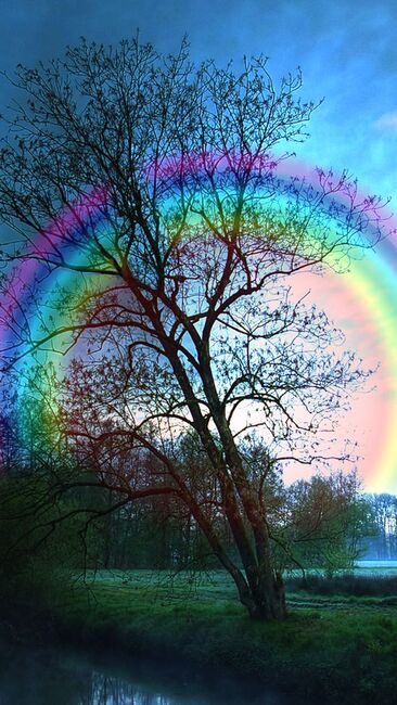 Image for the poem Rainbow Feelings