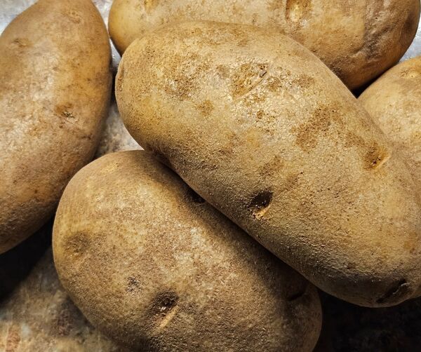 Image for the poem Potatoes From the Store