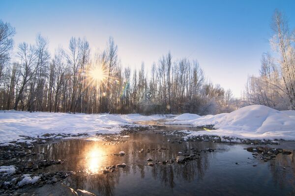 Image for the poem The Vernal Vibes of Winter