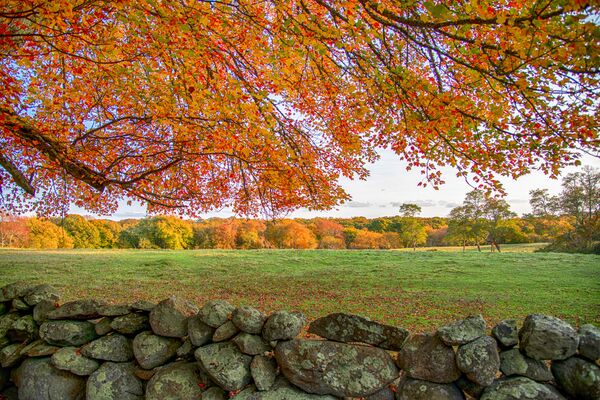 Image for the poem Stone Fences