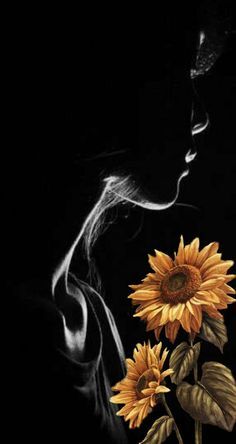 Image for the poem Sunflower