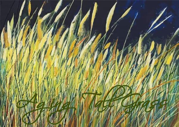 Image for the poem Aging Tall Grass