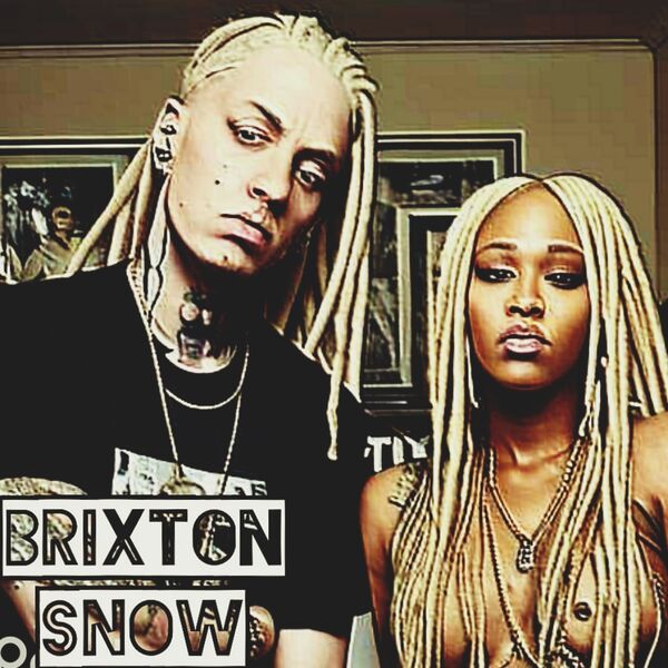 Image for the poem Brixton Snow