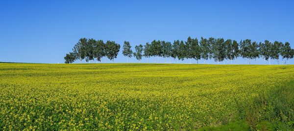 Image for the poem Spring On March