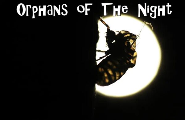 Image for the poem Orphans of The Night-with Grace