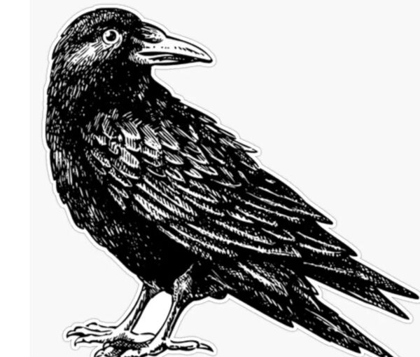 Image for the poem Corvus