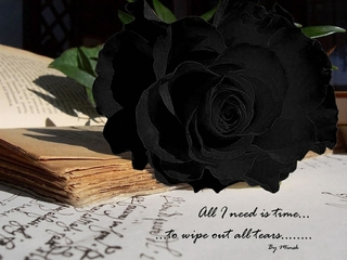 Image for the poem Tears To Roses
