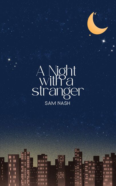 Image for the poem A Night With a Stranger chapter 1