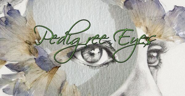 Image for the poem Pedigree Eyes