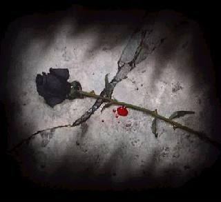 Image for the poem Rose