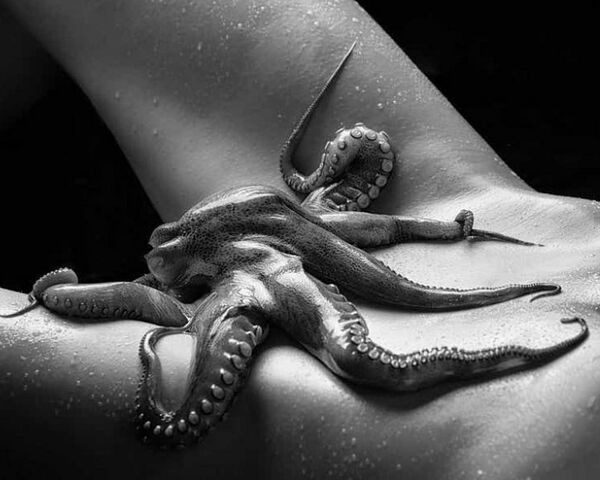 Image for the poem Octopuss