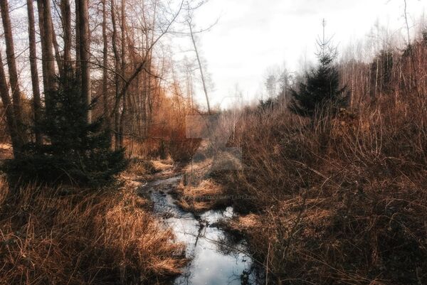 Image for the poem Creek Stones Rising - with Grace