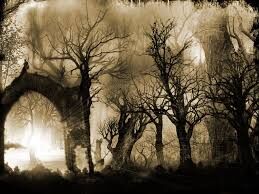 Image for the poem The Shadows of The Trees by FD Ravenskraft for Endless Press