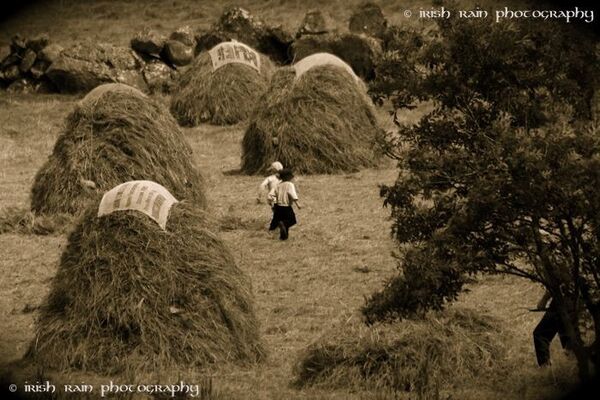 Image for the poem Glory for Rations 