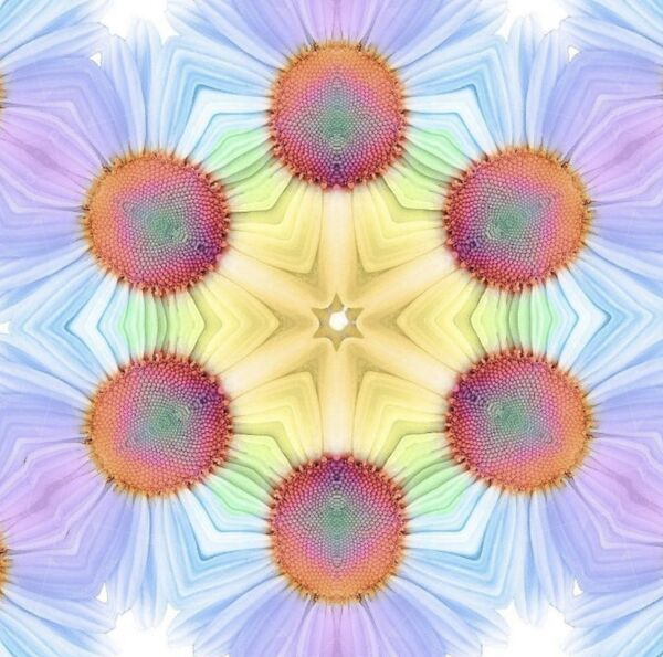 Image for the poem Kaleidoscope Life - a collaboration with WillowsWhimsies