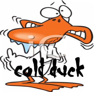 Image for the poem Cold Duck