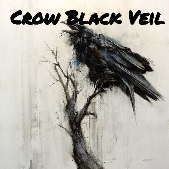 Image for the poem Crow Black Veil 