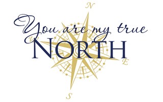 Image for the poem My true north