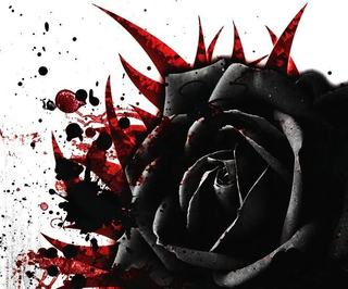 Image for the poem Black Rose