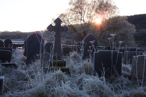 Image for the poem Frosty Autumn Leaves