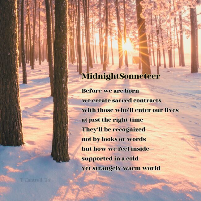 MidnightSonneteer 