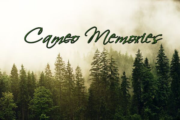 Image for the poem Cameo Memories