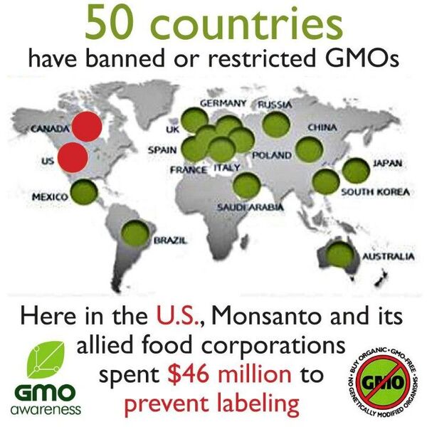 Image for the poem Monsanto, the World & GMO