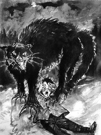 Image for the poem The Yule Cat