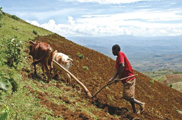 Image for the poem Fellah, a Man of Earth, a Man or Worth