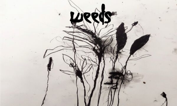 Image for the poem Becoming Weeds