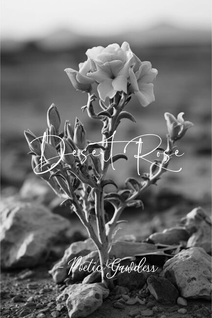 Image for the poem Desert Rose 