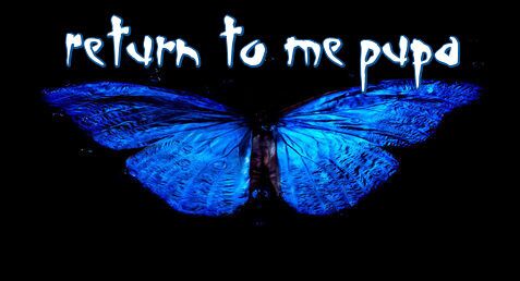 Image for the poem Return to Me Pupa - with Lilliputian 